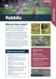 Rabbits Cover Animal Pest Fact Sheets A4 Jan 2025 250214 Page 1