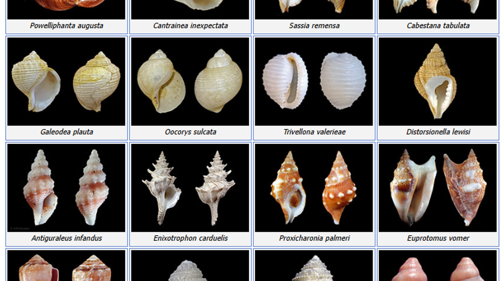 Screenshot 2025 07 28 154421