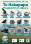 Native Birds Of The Te Hakapupu Pleasant River Estuary Poster 2024