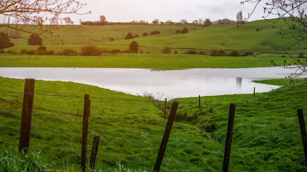 Pond Farmland Pasture Adobestock 294298578