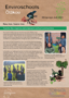Cover Enviroschools Ōtākou Newsletter Hōngongoi July 2024 2