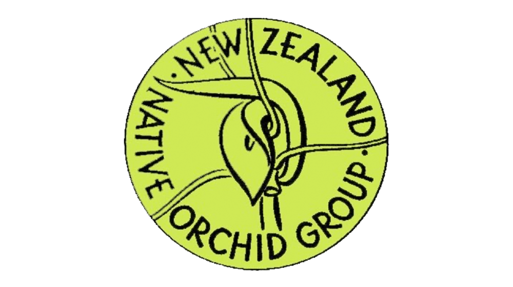 New Zealand Native Orchids Logo 1920X1080