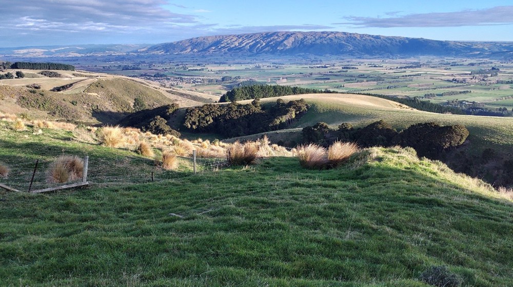 Hill Country Erosion Programme