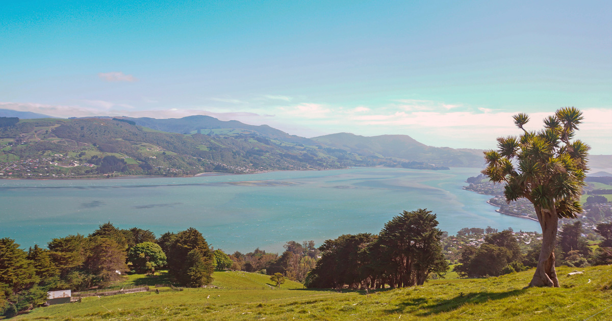 Otago Peninsula