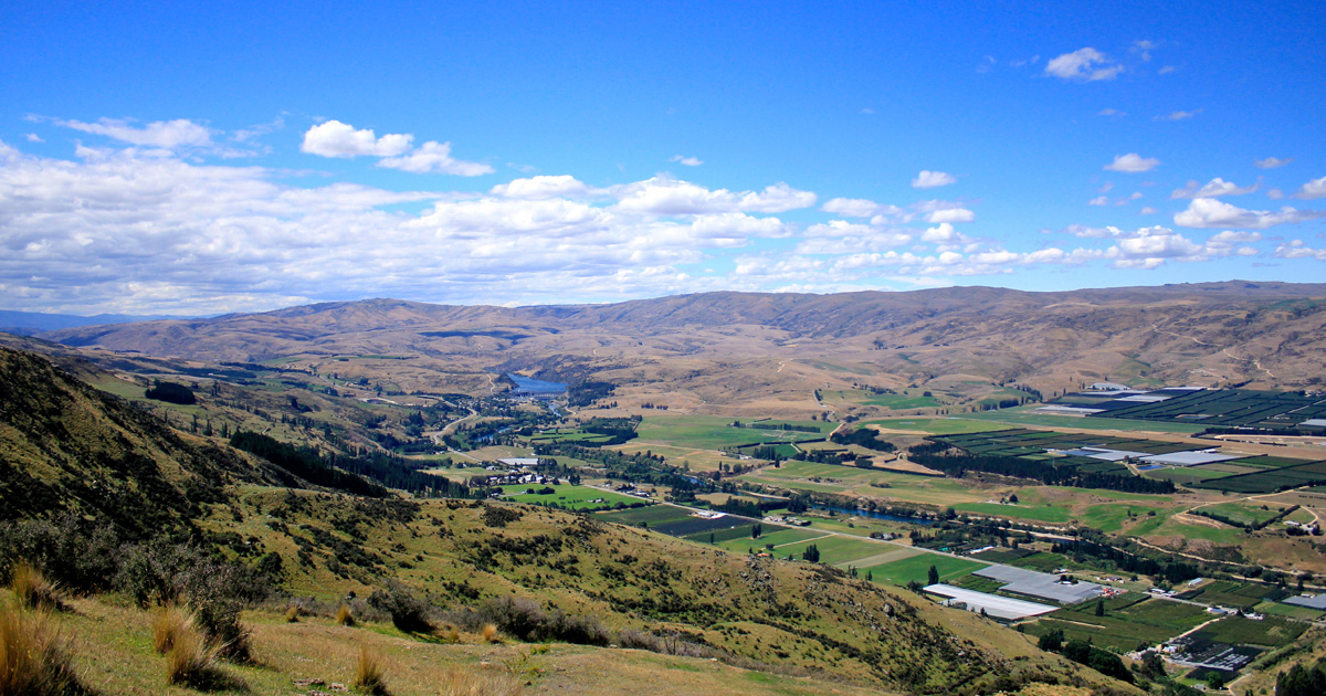 Bullock Track,Roxburgh