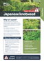 Japanese Knotweed Plant And Pest Fact Sheets A4 250813 Cover Page 1