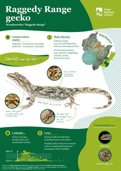 ORC Raggedy Range Gecko A4 2024 (1)