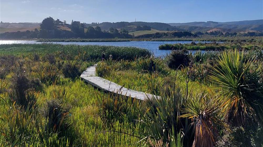 Boardwalk In Sun At Sinclair Wetlands Te Nohoaka O Tukiauau