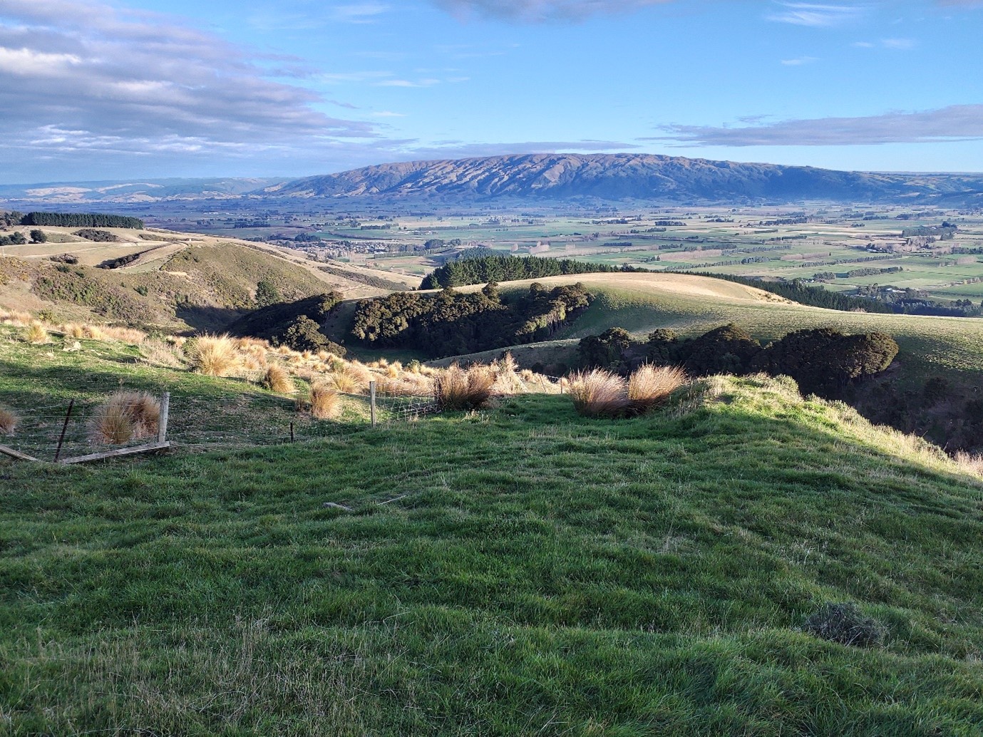 Hill Country Erosion Programme