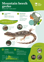 Orc Mountain Beech Gecko A4 2024