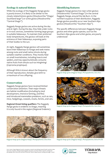 Internal Page Example From Gecko Of Otago Guides Page 2