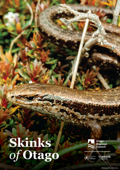 Cover Skinks Of Otago Guide