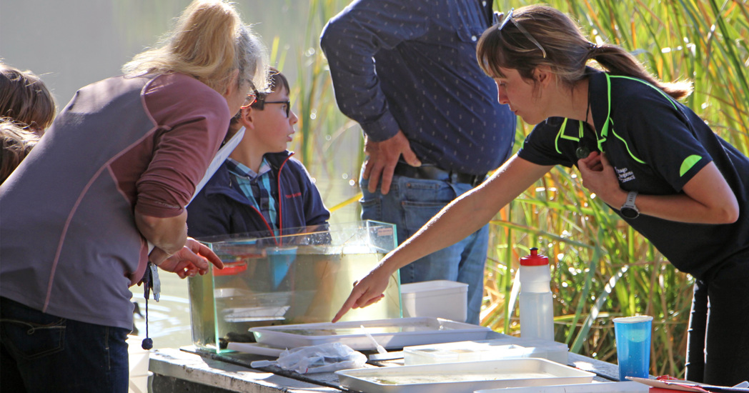 Becky Pointing At Stuff 1200 Copy