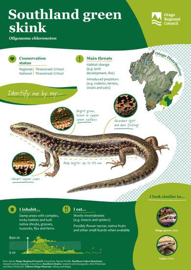 ORC Southland Green Skink A4 2024 (1)