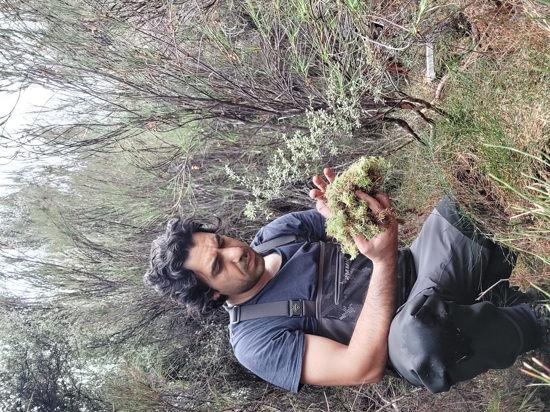 Wetland Monitoring Tahakpoa Marshes Catlins - Sami Khan