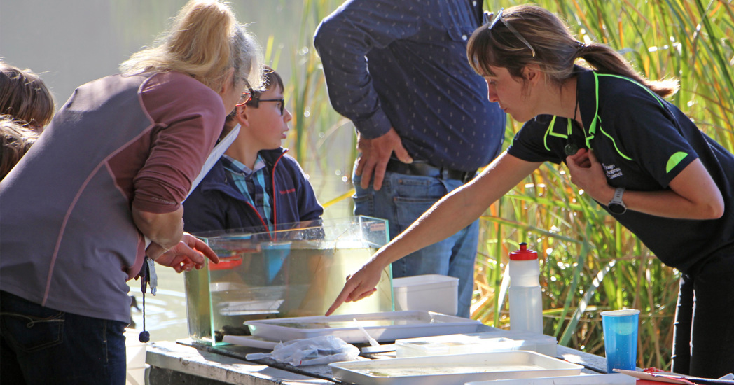 Becky Pointing At Stuff 1200 Copy