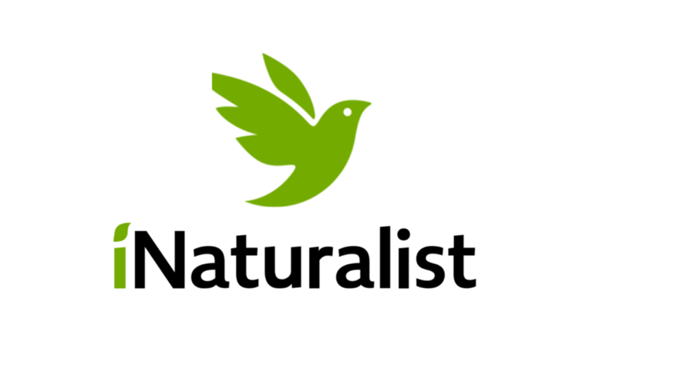 Inaturalist Logo 1920X1080px
