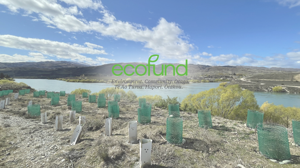 Eco Fund Background Planting Logo