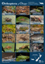 SCI Orthoptera Of Otago Poster Oct 2025 (1)