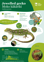 Orc Jewelled Gecko A4 2024