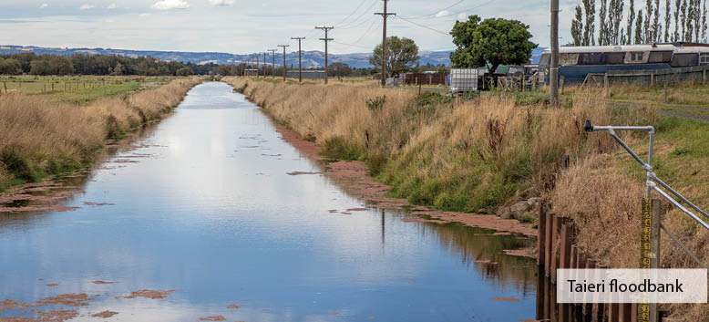 Taieri Floodbank