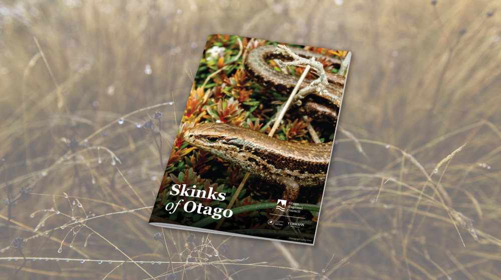 Skinks Web Tile May 2025