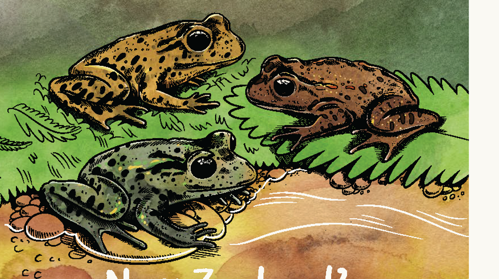 Cover New Zealand Extinct Frogs Booklet From Nzfrogs