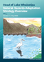 Cover Overview Head Of Lake Whakatipu Adaptation Strategy (OFFICIAL 21 May 2025 Endorsed)