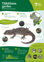 Orc Tākitimu Gecko A4 2024