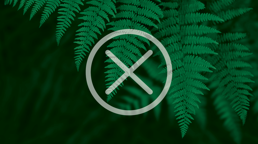 Cancel Direct Debit Rates 1920X1080 Web Tile