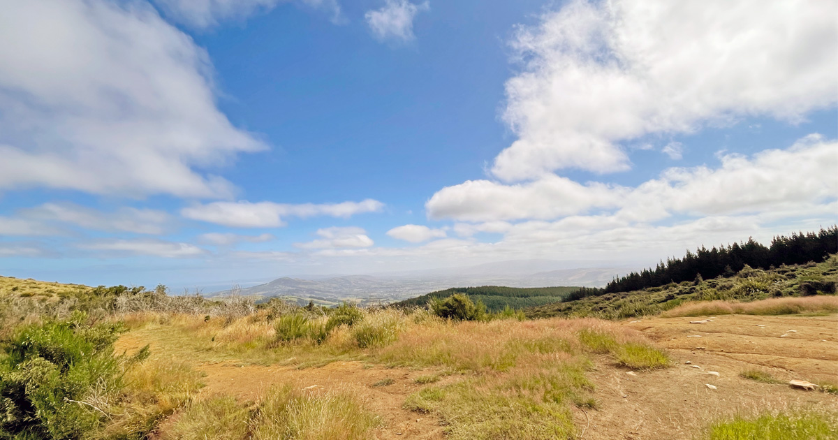 Taieri From Flagstaff Track
