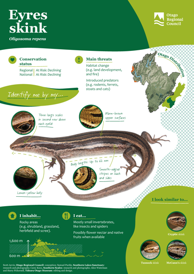 ORC Eyres Skink A4 2024 (1)