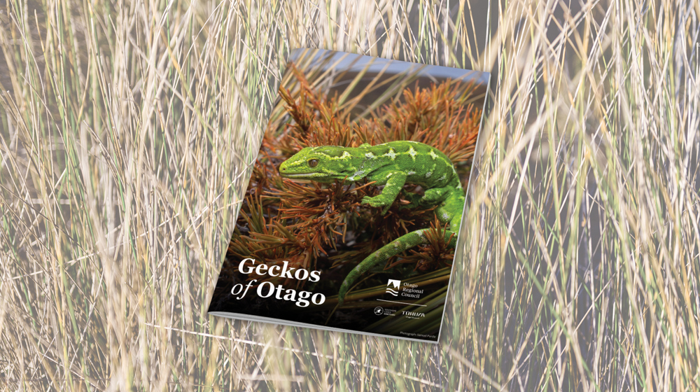 Geckos Web Tile May 2025